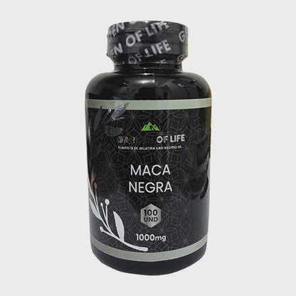 MACA NEGRA